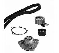METELLI Pompe À L'Eau + Courroie pour Fiat 500X Doblo Grand Espace Limousine