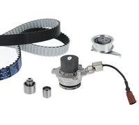Metelli Kit de distribution + pompe à eau 30-1360-2 – Compatible VW Golf VII, Tiguan, Sharan