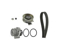 Ina Kit de distribution avec pompe à eau 530 0171 30