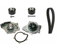 INA Pompe à eau + kit courroie de distribution 530 0234 30 pour CITROËN, FIAT 19 dents 30 mm