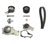 Kit de distribution + pompe à eau 530 0369 30 INA pour CITROËN SUZUKI
