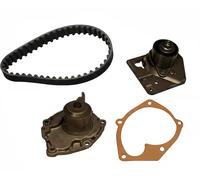 INA Kit de distribution + pompe à eau 530 0442 30 pour Nissan Renault Suzuki