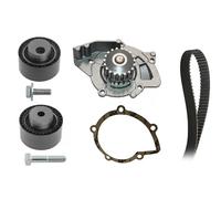 INA Kit de distribution avec pompe à eau 530 0446 31 pour Peugeot Citroën Lancia