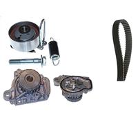 Ina - Kit de distribution avec pompe à eau 530 0505 31