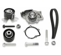 Kit de distribution + pompe à eau 530 0558 31 INA pour CITROËN PEUGEOT FIAT FORD
