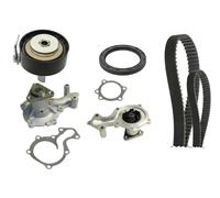 INA 530 0959 30 Kit de distribution + pompe à eau