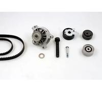 Kit de distribution + pompe à eau Arbre à came PK05741 HEPU pour AUDI A6 C4