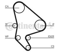 Kit de distribution + pompe à eau CT1037WP1 CONTINENTAL CTAM pour CITROËN FIAT