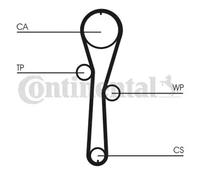 Kit de distribution + pompe à eau CT1045WP1 CONTINENTAL CTAM pour DACIA RENAULT