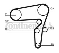 Kit de distribution + pompe à eau CT1076WP1 CONTINENTAL CTAM pour ALFA ROMEO