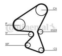 Kit de distribution + pompe à eau CT1104WP1 CONTINENTAL CTAM pour CITROËN SUZUKI