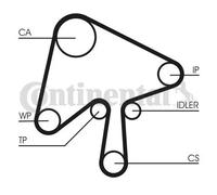 CONTITECH CT1136WP1 Kit de distribution + pompe à eau