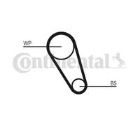 CONTINENTAL CTAM CT1185WP4 Pompe à eau + kit de courroie crantée pour SEAT,SKODA