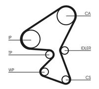Continental Kit de distribution avec pompe à eau CT1230WP1 pour DS, Ford, Opel