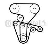 Kit de distribution + pompe à eau CT877WP4PRO CONTINENTAL CTAM pour LANCIA FIAT