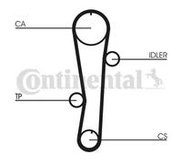 Kit de distribution + pompe à eau CT942WP1 CONTINENTAL CTAM pour HYUNDAI KIA