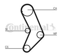 Kit de distribution + pompe à eau CT999WP1 CONTINENTAL CTAM pour FIAT LANCIA