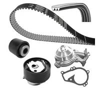 Pompe à eau + kit de courroie de distribution DAYCO KBIOWP140