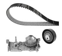 Dayco Kit de distribution et pompe à eau 8021787204735
