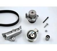 Kit de distribution + pompe à eau PK05692 HEPU pour AUDI VW FORD SKODA