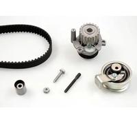 Kit de distribution + pompe à eau PK05693 HEPU pour AUDI VW FORD SKODA SEAT
