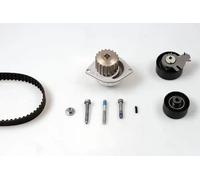 HEPU Kit de distribution + pompe à eau 4250093480562
