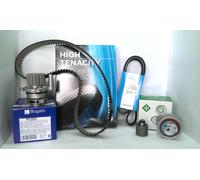 Ina Kit Courroie de Distribution pour Audi A2 A3 Seat Skoda VW Golf 5 Polo T5