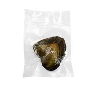 Kit de fabrication de collier de perles de vœux, kit de fabrication de colliers, perles de culture dans un ensemble d'huître, pendentif margarite personnalisé, surprise de Noël et de Saint-Valentin