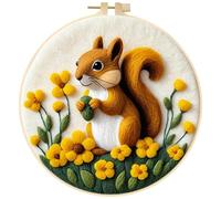 Kit de Feutrage à l'Aiguille Oiseaux, Feutrage de Laine Animaux, Kit de Démarrage de Feutrage à l'aiguille, Laine Feutrée Aiguilles et Tapis, Cercle à Broder, Bricolage en Feutre de Laine Cadeau