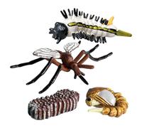 Kit De Figurines De Cycle Ďe Vie des Insectes - Jouet Éducatif Scientifique | Modèles Đe Cycle D́e Croissance (Papillon, Papillon D̄e Nuit, Grenouille, Tortue,) pour