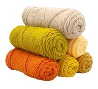 Kit de fil acrylique pour crochet et tricot,Fil épais 8 brins pour pistolet à touffeter, tricot à la main d'écharpes et de bonnets, fil pour la confection de tapis,100g par écheveau,100 m par bobine