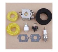 Kit de Filtre à Carburant for carburateur Compatible avec BL150, BL250, BL410 et BL100 (remplace)