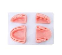 Kit de formation à la suture dentaire en silicone for étudiants et vétérinaires - Coussin buccale for s'entraîner sur dents gencives souples