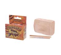 Kit de fouille - Archéo-Ludic - Pirate - Découverte de squelette - 6 ans et plus