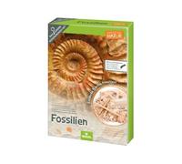 moses. Verlag – Kit de fouilles Expedition Nature – 5 fossiles, outil, loupe, sac