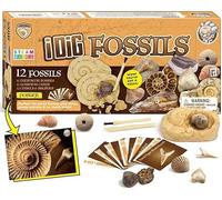Kit De Fouilles Fossiles Kit éducatifs de Sciences Enfant Fossiles Jeu Fouilles et Decouvertes Archéologiques Paléontologue Enfant