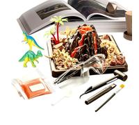 Kit de funéraires scientifiques | Construction pratique des