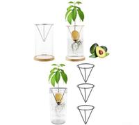 Kit de germination d'avocat en acier inoxydable pour plantes, germination triangulaire pour soutien de croissance, observateur de développement des racines, jardinage pour enfants, cuisine pour jardin