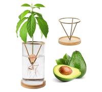Kit de germination de plantes, kit de culture d'avocat, vase de culture d'avocat, base en bois, vase de démarrage de graines d'avocat, pot de fleurs en verre, facile à germer, décoration de table