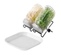 Kit de germination en verre | Germination de légumes sains | Kit de culture des germes de haricot | Pour les amateurs de santé, végétariens, débutants, maison, cuisine, appartement, comptoir