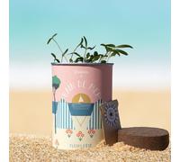 Kit de Graines de Fleurs d'Été à Planter - "Bains de Mer" | Mélange Bleuets, Cosmos | Jardin, Balcon, Terrasse | Facile à Planter & Rapide à Fleurir