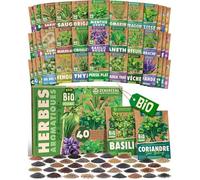 Kit de graines de herbes aromatiques bio-40 variétés pour une culture facile dans le jardin,sur le balcon ou dans une jardinière