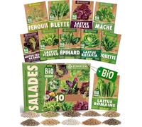 Kit de graines de légumes-feuilles bio-10 variétés pour une culture facile dans le jardin,sur le balcon ou dans une jardinière