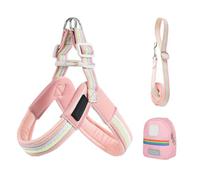 Kit de harnais et de sangles pour chien réglable avec laisse, outil de sécurité ergonomique, équipement d'entraînement confortable pour la marche urbaine, le parc, l'arrière-cour, la randonnée, 7,87 x