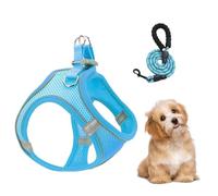 Kit De Harnais Et Laisses Pour Chat, Harnais En Maille Et Laisses Pour Chiens Ensemble Combiné, Anti-Fugue Pour Chiots Bandes Réfléchissantes Pour Randonnée Et Activités De Plein Air