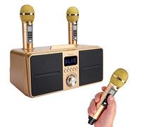 Kit de Haut-parleurs avec Deux Microphones, équipement de karaoké Domestique sans Fil, Haut-Parleur Bluetooth Multifonctionnel à Faible Bruit, Haut-Parleur de karaoké Bluetooth avec Carte Audio(Or)