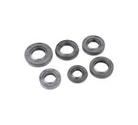 Kit de Joint d'huile de Vilebrequin for débroussailleuse 40-5 44-5 CG430 TL52 TL43 Cutter 140 GX35 2 4 Temps(140F)