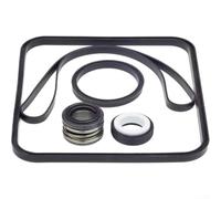 Kit de joint en caoutchouc noir pour pompe de piscine Hayward Spx1600tra pièce de rechange pour garantir une étanchéité fiable et une performance durable dans les piscines extérieures