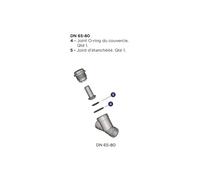 Kit de joint pour clapet de retenue - diamètre extérieur : 63 mm - Aliaxis