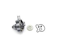 Kit De Joint Torique, Roulement Et Couvercle d'arbre Pompe À Eau pour Moteur pour ZONGSHEN ZS174MN-3 CBS300 ZS174MN-5 NB300 4T(Water Pump Shaft Kit)